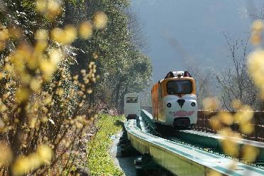 湖南張家界:節后旅游熱度不減