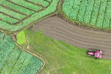 立春時(shí)節農事忙