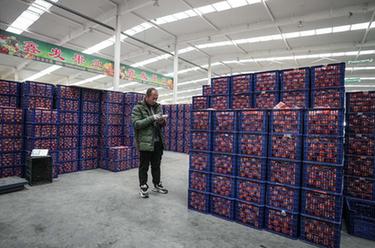 新春走基層丨東北&ldquo;菜籃子&rdquo;供銷(xiāo)兩旺