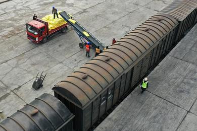 強信心&middot;開(kāi)新局丨駛向田野的&ldquo;春耕列車(chē)&rdquo;