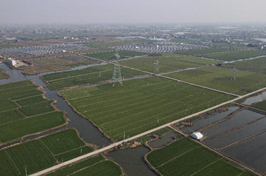 安徽蕪湖：&ldquo;小田變大田&rdquo;為鄉村振興注入新動(dòng)能