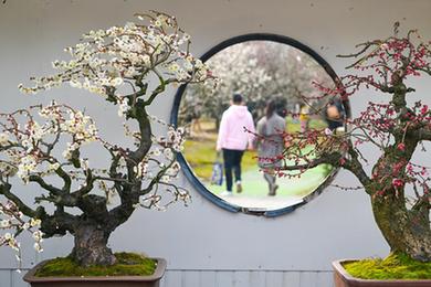 鏡觀(guān)中國&middot;新華社國內新聞?wù)掌恢芫x