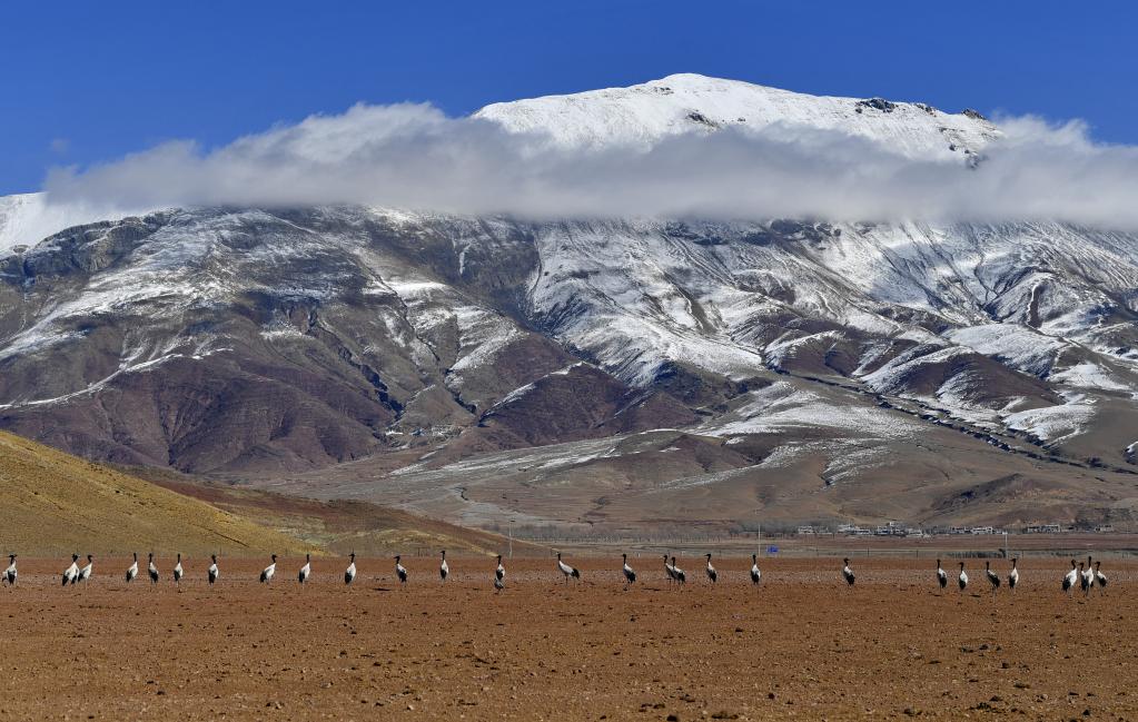 鏡觀(guān)中國&middot;新華社國內新聞?wù)掌恢芫x