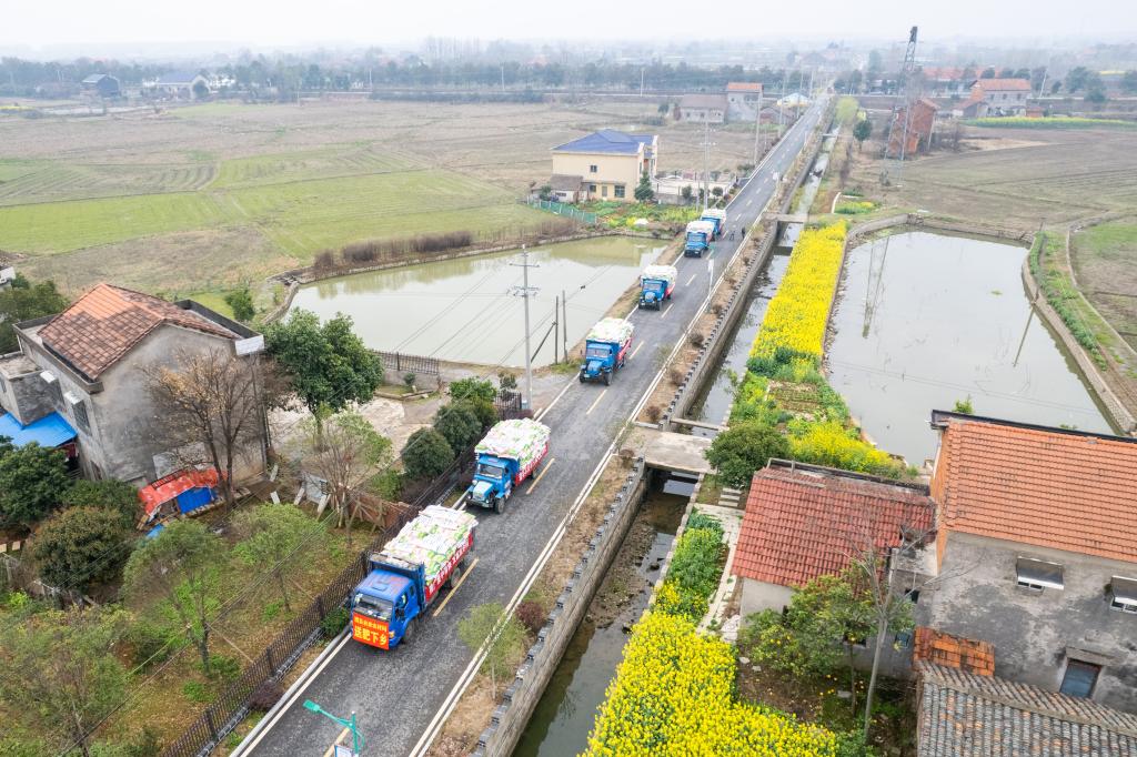 送肥下鄉助春耕