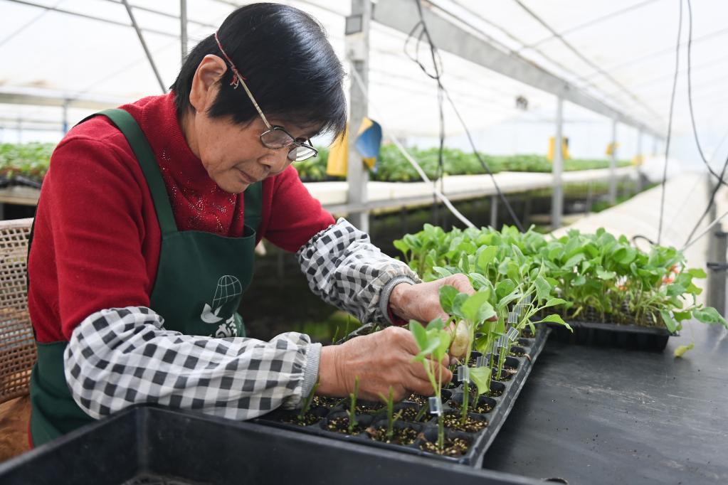 浙江:春耕備耕正當時(shí)