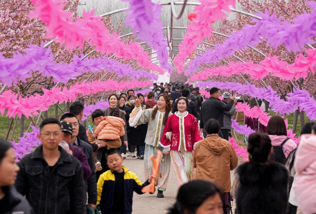 安徽全椒:農旅融合“好光景”