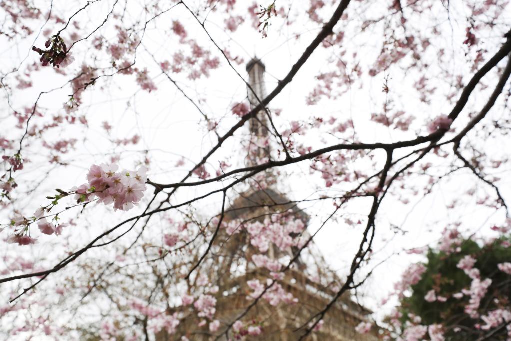 國際&middot;一周看天下