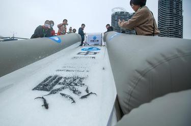 中華鱘保護日 湖北宜昌舉行中華鱘放流活動(dòng)