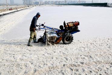 原鹽&ldquo;春扒&rdquo;忙