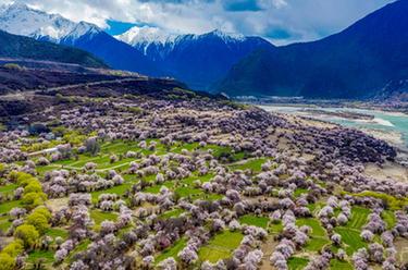 鏡觀(guān)中國&middot;新華社國內新聞?wù)掌恢芫x