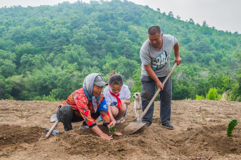 新華全媒+丨夫妻植樹(shù)護林40年，荒山禿嶺變綠洲&ldquo;鷺嶺&rdquo;