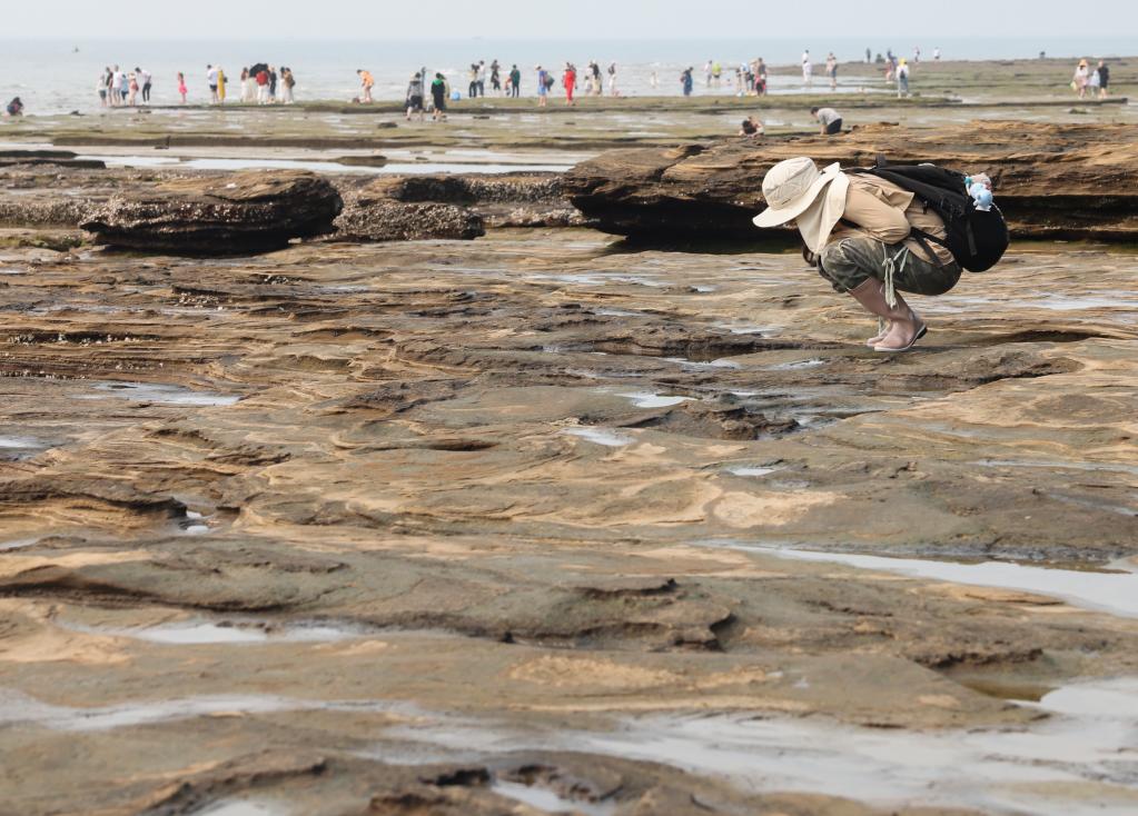 2023潿洲島海洋觀(guān)察節舉行