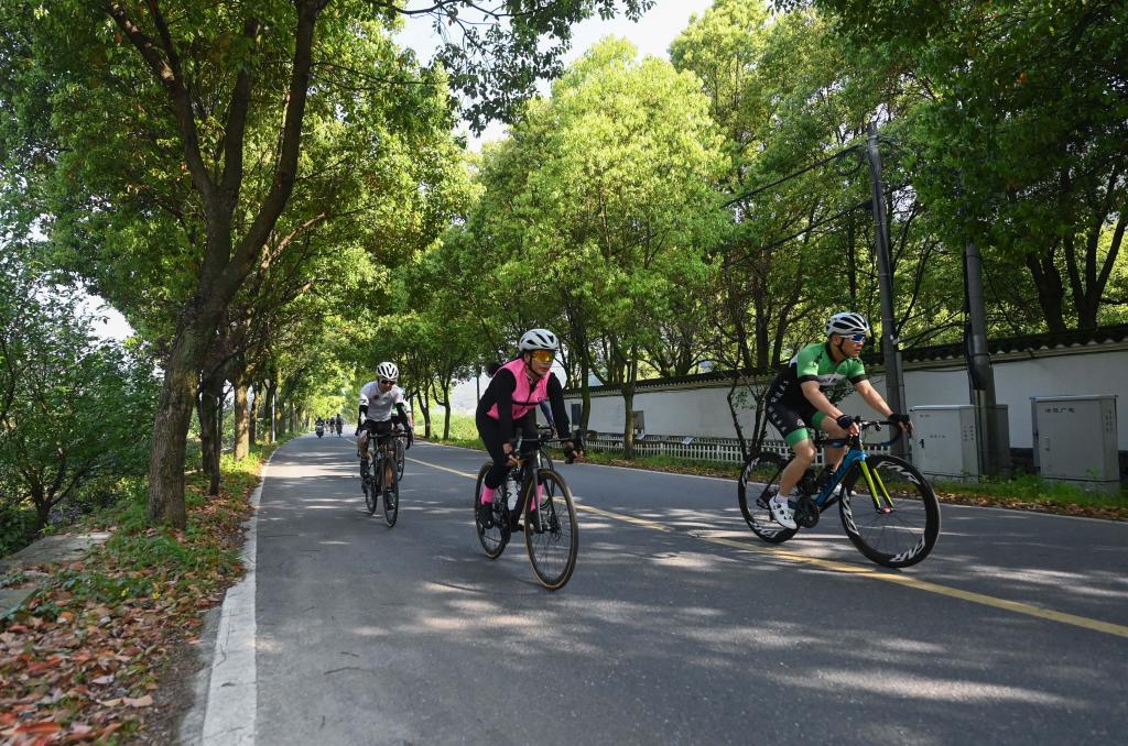 美麗鄉村游助力鄉村振興