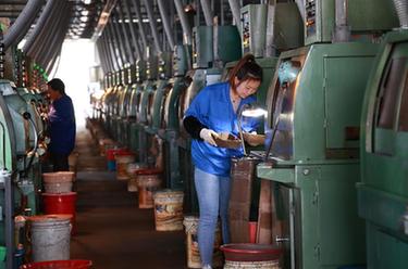 小小軸承轉出鄉村振興幸福未來(lái)