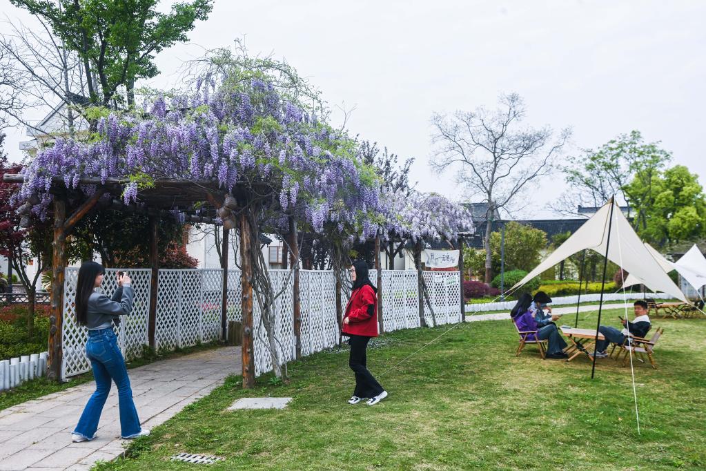 浙江織里：春季鄉村旅游經(jīng)濟升溫