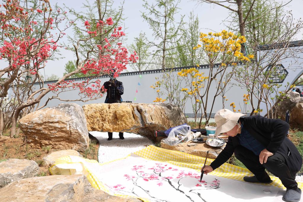 中國&middot;淮安精品盆景展拉開(kāi)帷幕