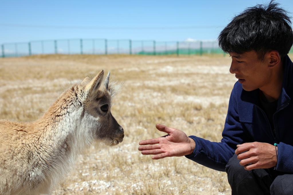 青?？煽晌骼铮罕痪戎亓缪蛴揍套聣殉砷L(cháng)