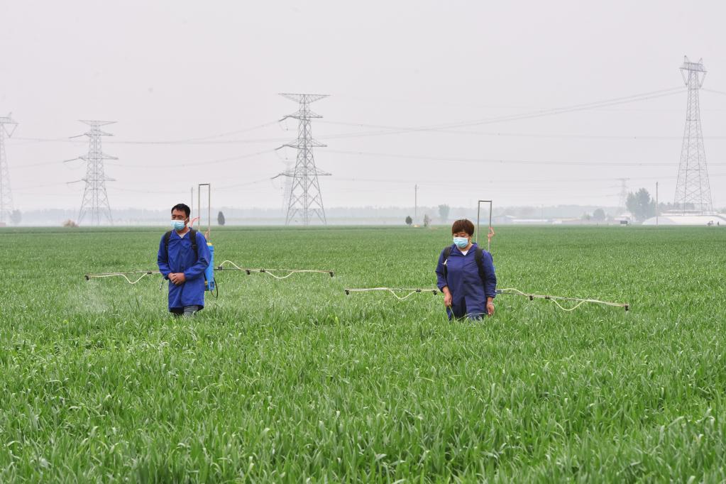 農田 &ldquo;保姆&rdquo;夫妻檔