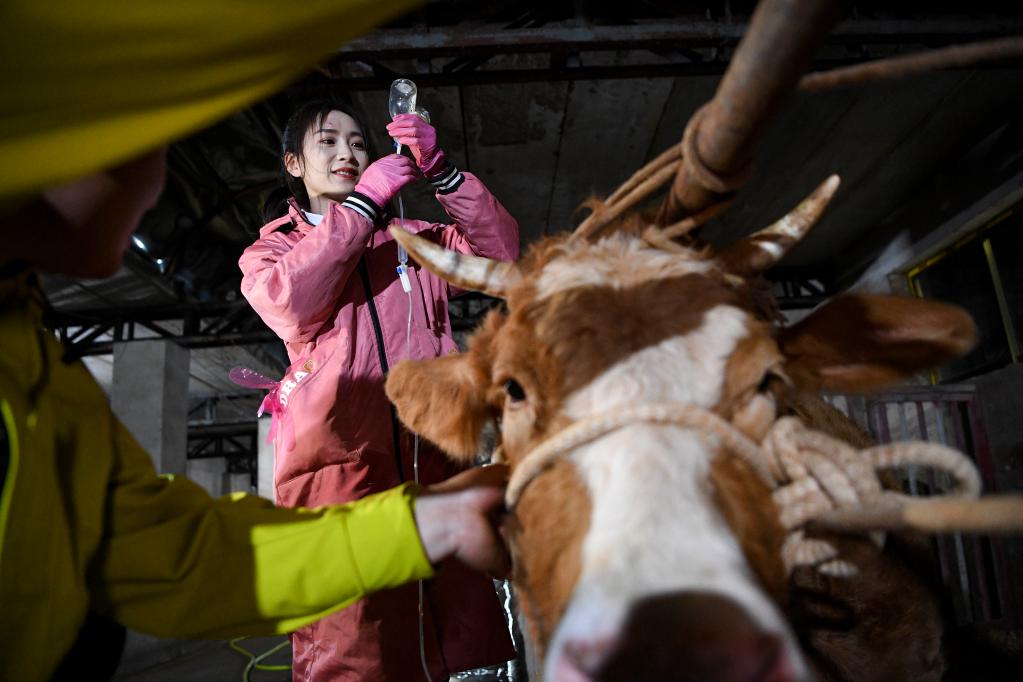 鏡觀(guān)中國&middot;新華社國內新聞?wù)掌恢芫x