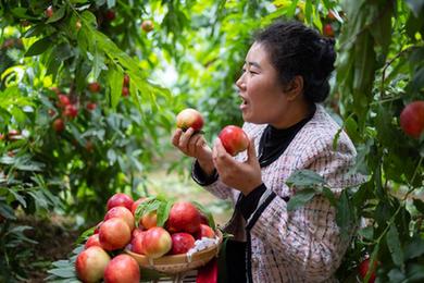 殘疾人創(chuàng  )業(yè)新生活：拄雙拐做電商直播的陜西姑娘