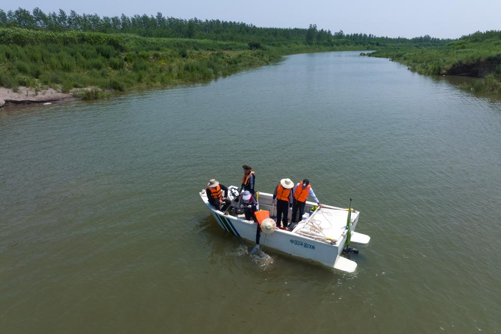 與&ldquo;水下哨兵&rdquo;的奇妙相遇