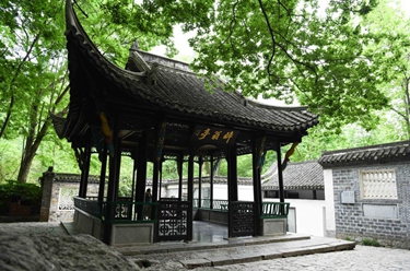 當博物館的&ldquo;風(fēng)景&rdquo;照進(jìn)現實(shí)