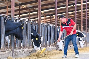 新華全媒+&middot;追著(zhù)花兒看新疆｜新疆伊犁：全產(chǎn)業(yè)鏈布局賦能奶業(yè)振興