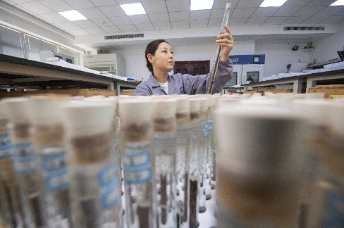 湖北荊州:修復文物 傳承文化