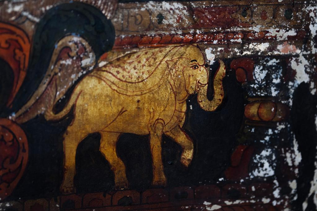 國道之行 從雪山奔向大海丨這么可愛(ài)的國寶，你見(jiàn)過(guò)嗎？