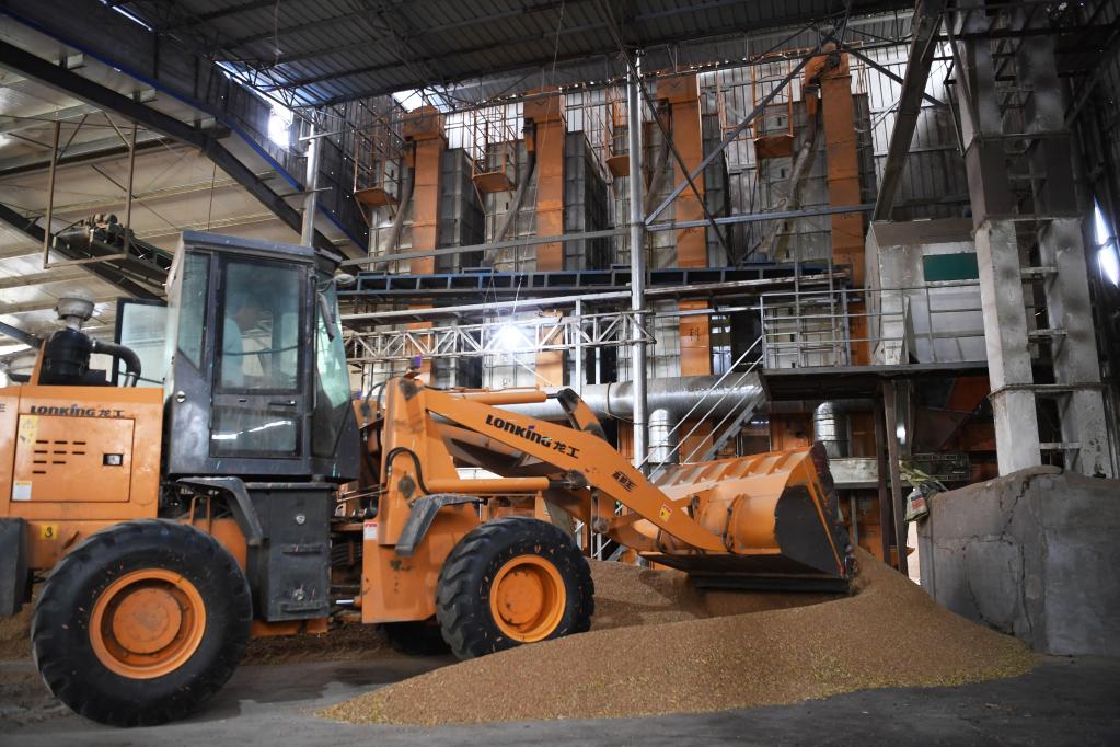 搶收、晾曬、烘干&mdash;&mdash;豫南夏收一線(xiàn)見(jiàn)聞