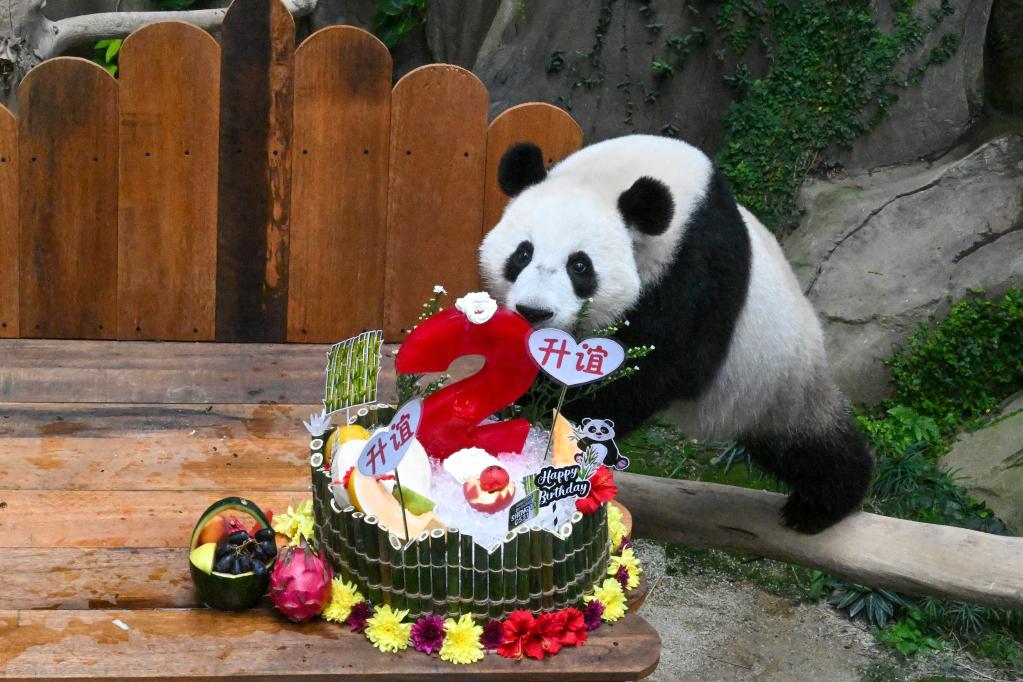 &ldquo;升誼&rdquo;兩歲啦！