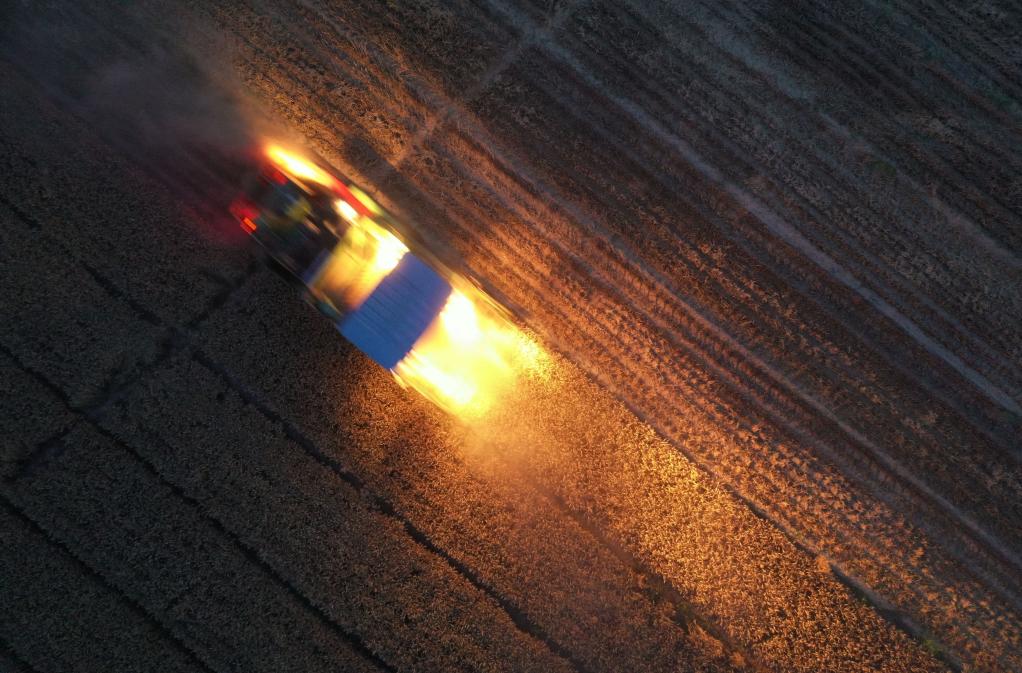 新華全媒+丨小村夜&ldquo;戰&rdquo;：中原麥收 &ldquo;搶&rdquo;字當頭