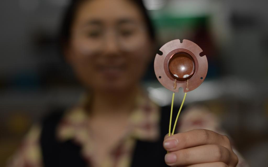 貴州鳳岡：發(fā)展&ldquo;專(zhuān)精特新&rdquo;企業(yè) 壯大縣域經(jīng)濟