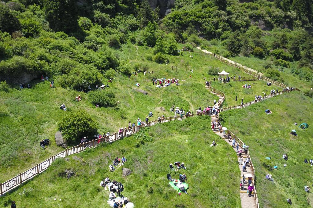 2023中國花兒大會(huì )開(kāi)幕