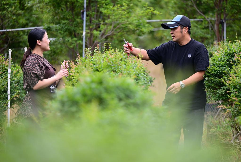 海峽一段情 結出&ldquo;甜蜜果&rdquo;