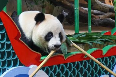 國寶&ldquo;體驗&rdquo;端午文化