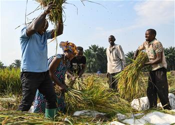 國際&middot;一周看天下