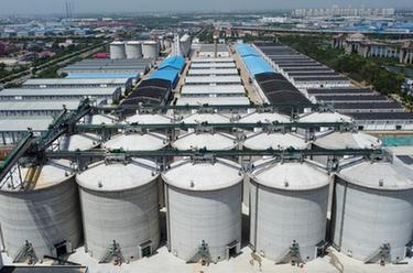 天津：現代化糧倉啟用 服務(wù)夏糧收儲