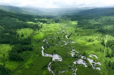 內蒙古阿爾山：夏日風(fēng)光引游人