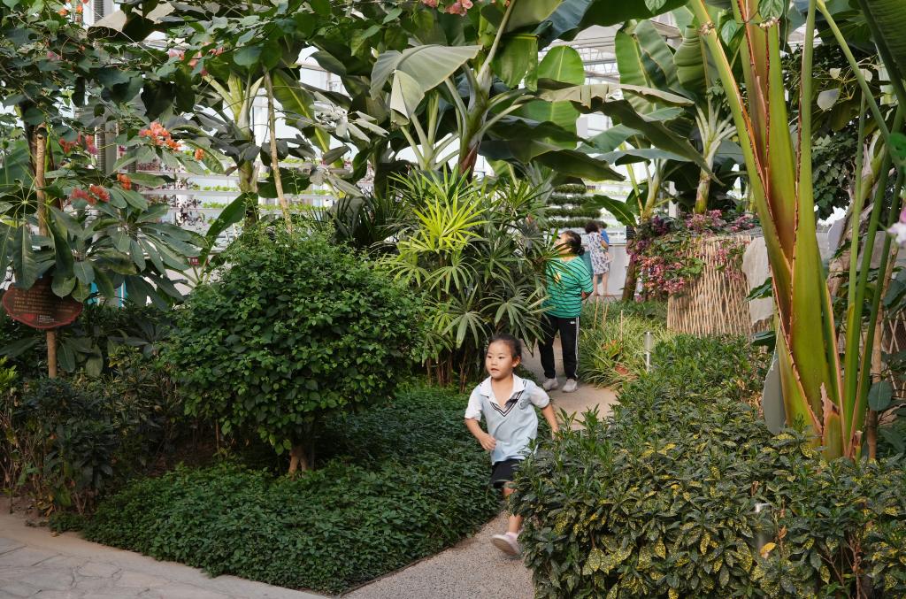 高質(zhì)量發(fā)展調研行｜河北正定：智慧農場(chǎng)助力鄉村振興