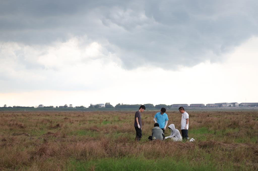 新時(shí)代中國調研行&middot;長(cháng)江篇｜守護&ldquo;長(cháng)江之腎&rdquo;的&ldquo;洞庭麻雀&rdquo;