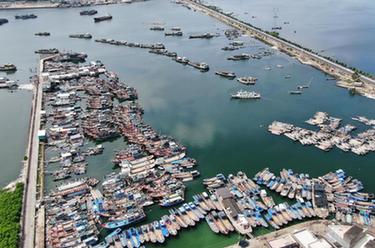 新華全媒+｜漁船歸港 防御臺風(fēng)&ldquo;杜蘇芮&rdquo;