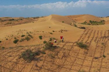 為大漠穿上&ldquo;網(wǎng)格衫&rdquo;
