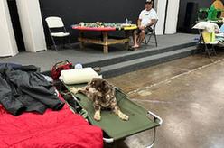 美國夏威夷州因野火遇難人數過(guò)百