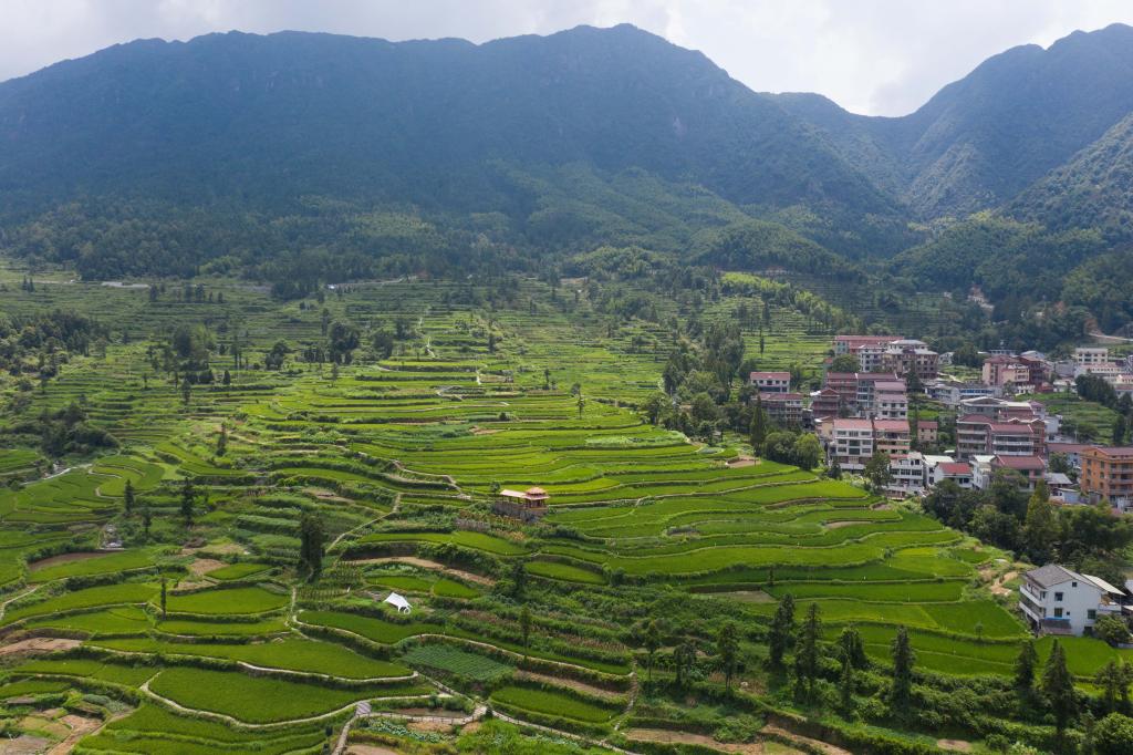 浙江青田：惠民金融服務(wù)助力鄉村振興