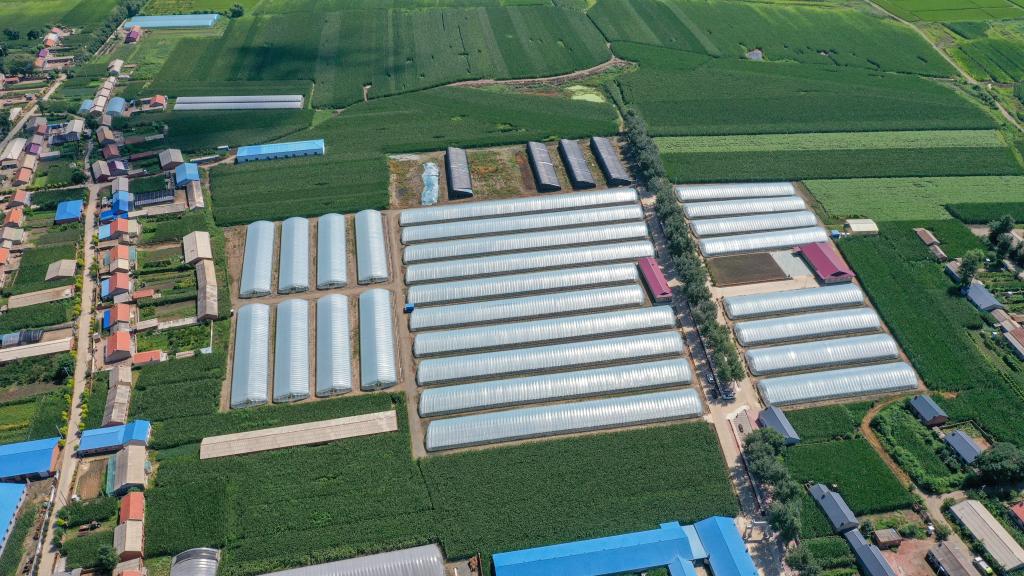 家庭農場(chǎng)開(kāi)出致富花