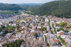 湖北赤壁：茶旅融合激發(fā)古鎮新活力