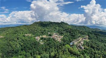 &ldquo;普洱景邁山古茶林文化景觀(guān)&rdquo;成功申遺