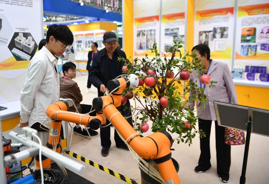 楊凌農高會(huì )：農業(yè)科技成果受關(guān)注