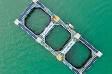 &ldquo;游牧&rdquo;深藍&mdash;&mdash;養魚(yú)百萬(wàn)斤的巨無(wú)霸&ldquo;糧倉&rdquo;助力向海圖強